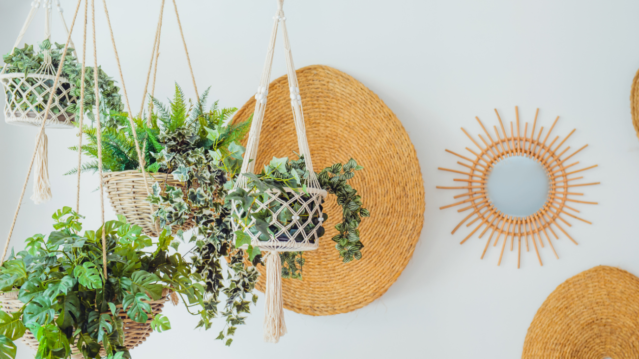 Como Criar e Vender Plantas Decorativas Um Guia Completo