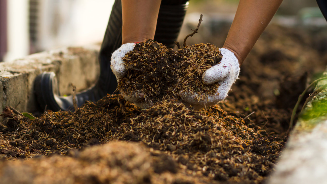 Como Fazer Compostagem e Vender Adubo Orgânico Passo a Passo