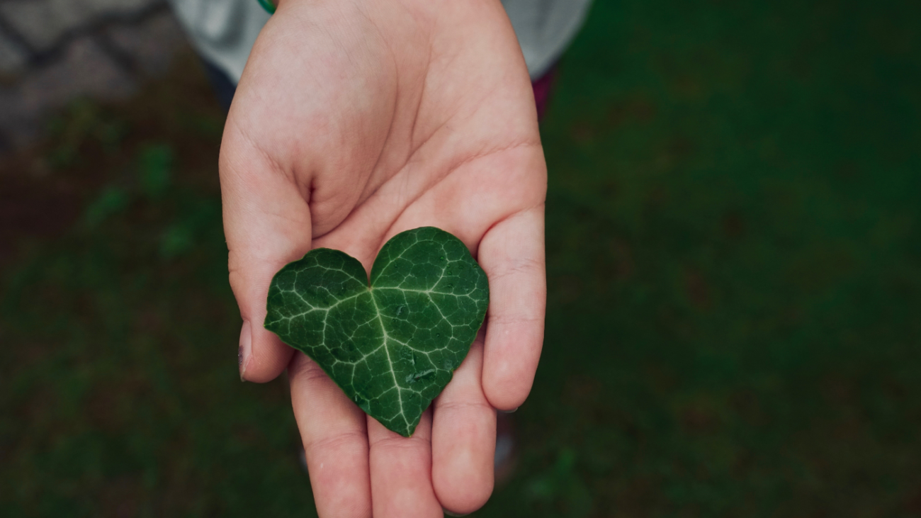 Comissário da UE enfatiza a transição verde como uma oportunidade de negócios promissora