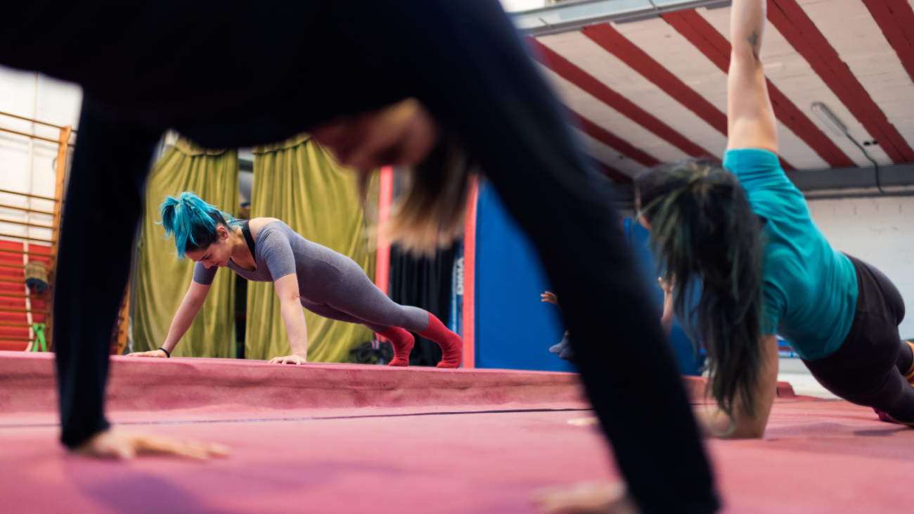 Escola de Circo Brava_ Transformando a Arte Circense em Empreendedorismo Lucrativo