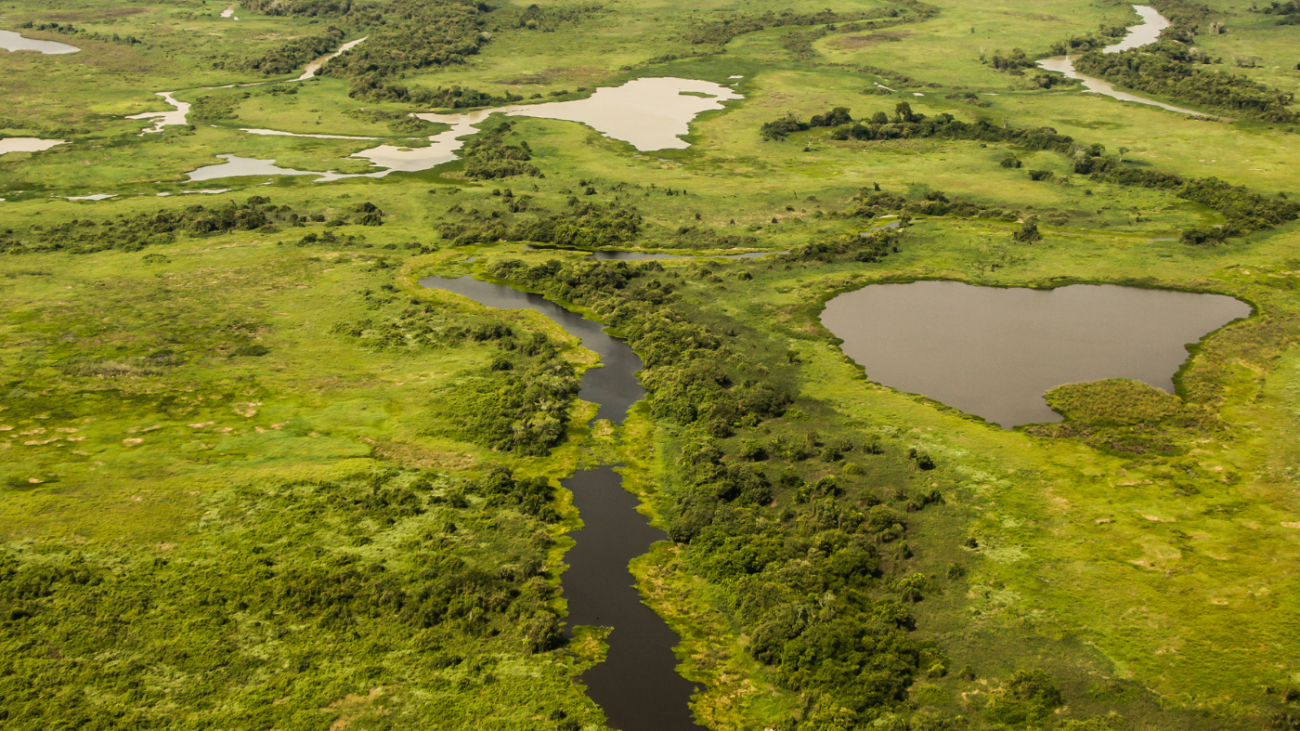 Oportunidades de Empreendedorismo no Cerrado e Pantanal_ Como Potencializar Ideias de Negócio em MS
