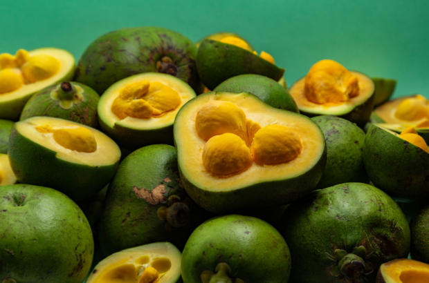 Pequi_ Oportunidades de Negócio com a Fruta do Cerrado
