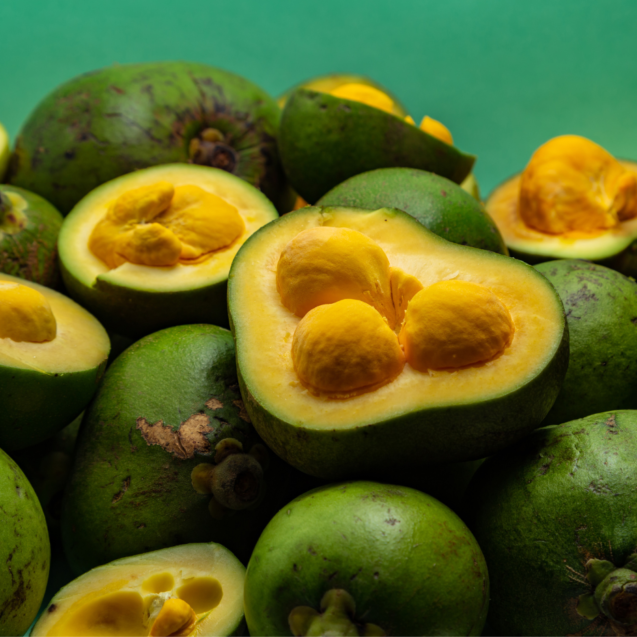 Pequi_ Oportunidades de Negócio com a Fruta do Cerrado