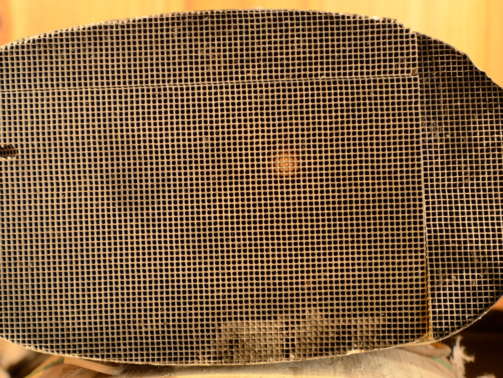 COP 30: Baixo Amazonas como Catalisador para Novos Negócios Sustentáveis e Oportunidades de Empreendedorismo